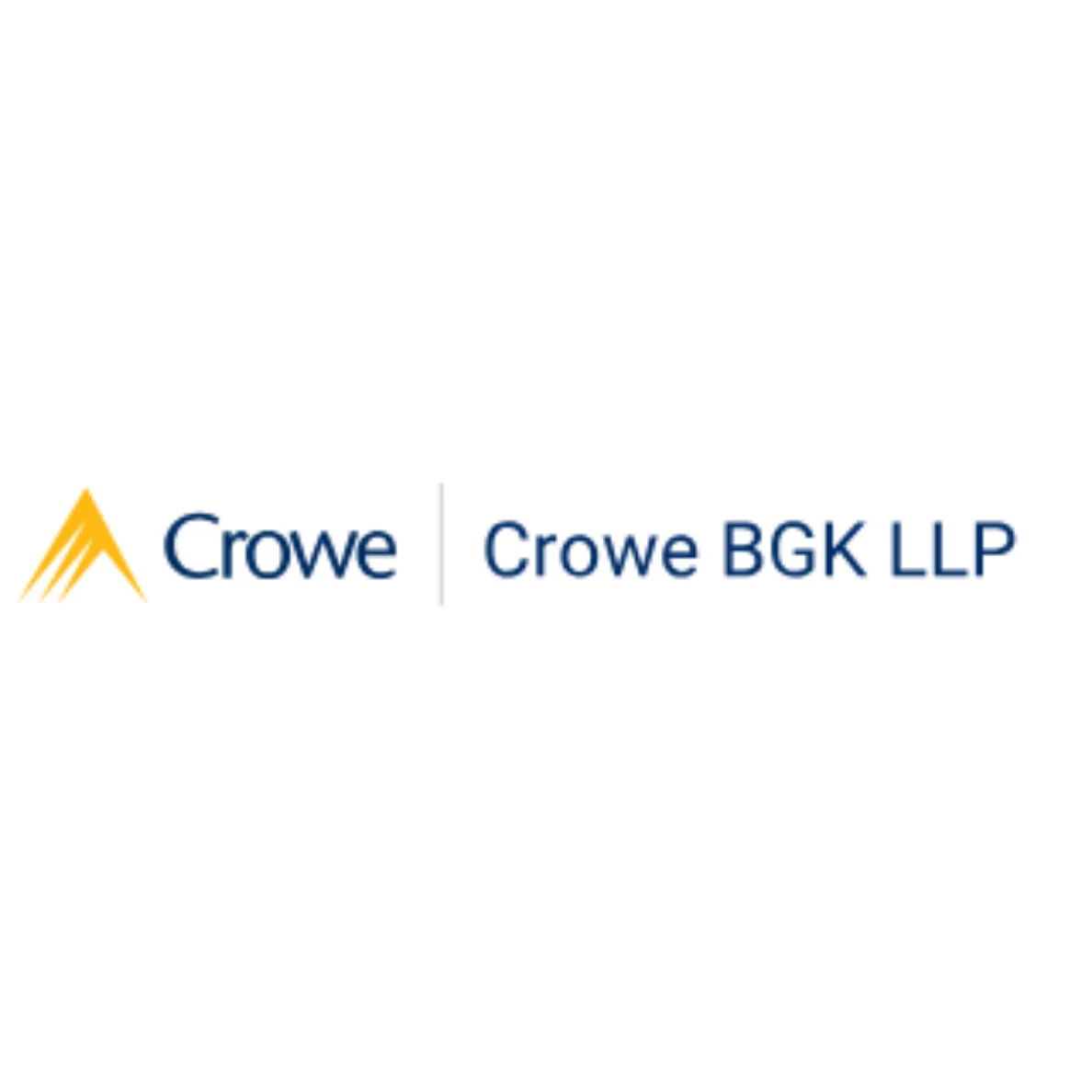 Partner logo 8